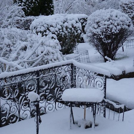 Studio Cosy Avec Vue Sur Lac Et Montagne A Gerardmer 30 M² Экстерьер фото